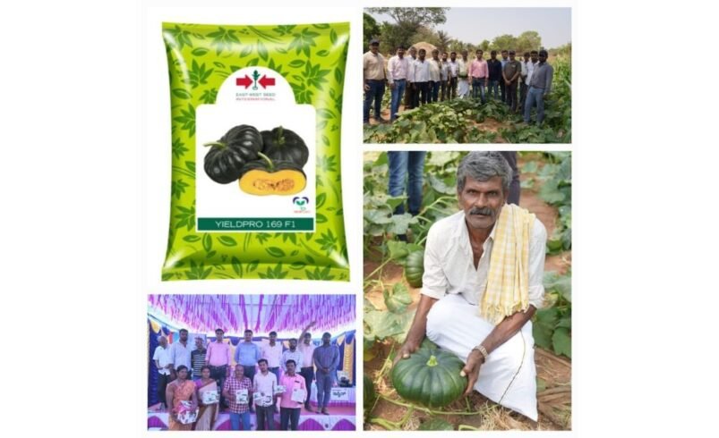East-West Seed India Launches High-Yielding Hybrid Pumpkin, Yieldpro 169, Promising More Prosperity For Smallholder Farmers